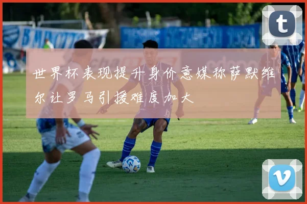 世界杯表现提升身价意媒称萨默维尔让罗马引援难度加大